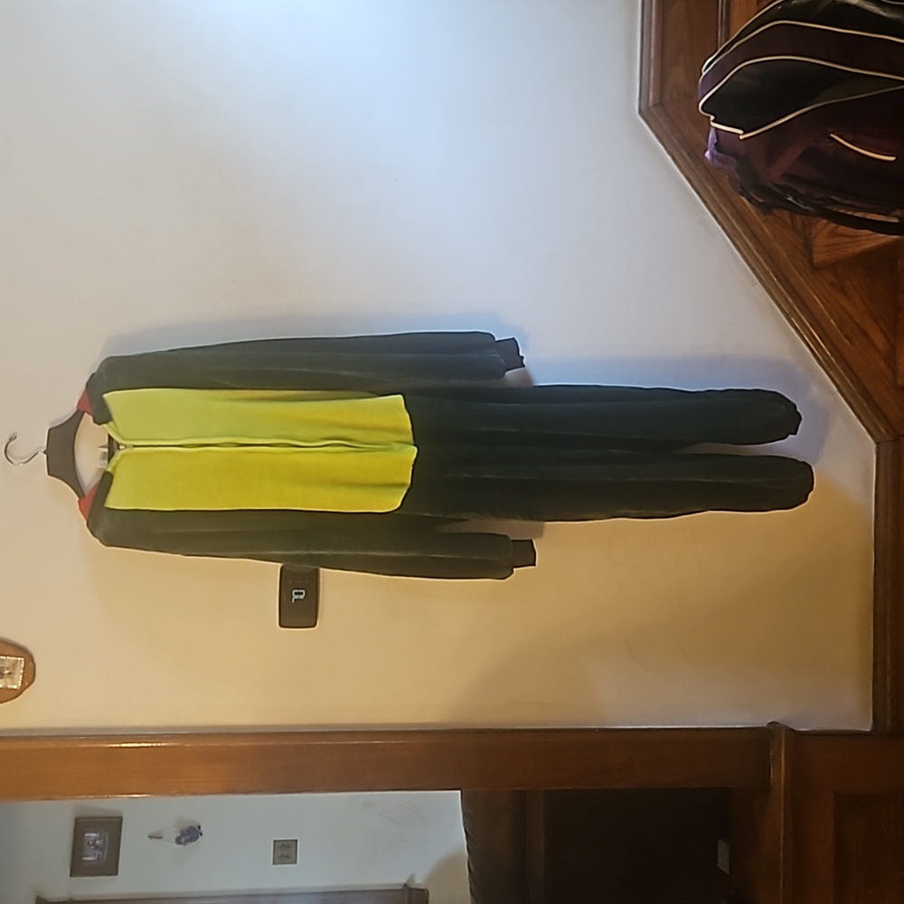 Used Walmart L/XL Dinosaur Costume